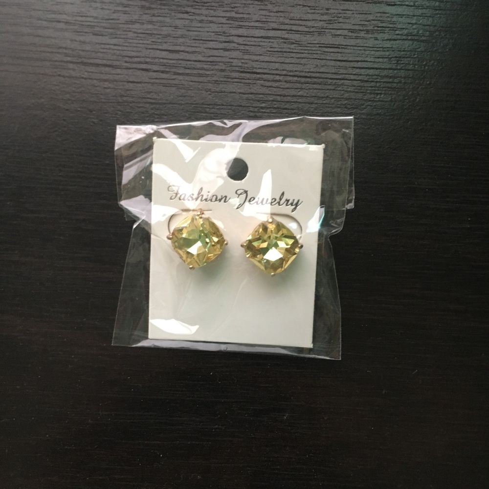 NWT Earrings